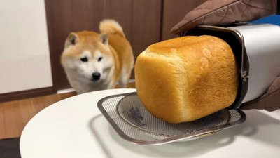 ふわふわもちもちの仕上がり
