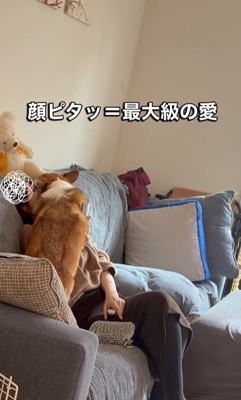 エルモちゃんのおもてなし6