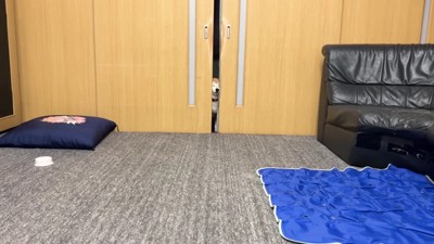 おでかけから帰宅したらんまるくん