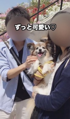 たくさんの幸せをありがとう