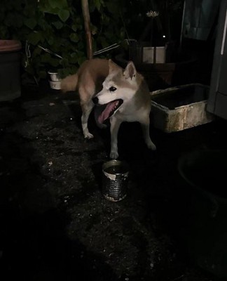 無事捕獲に成功！！