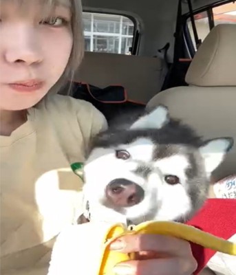 バナナを食べる犬1