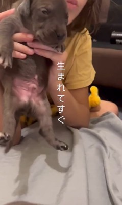 リバくんが2歳になるまで
