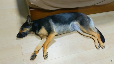 まさかのスルー！