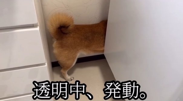 動かないロックくん