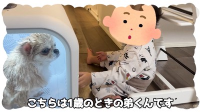 男の子が1歳の時の様子