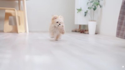 まずはスキンシップから♪