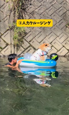 色々な乗り物に乗るおもち君3