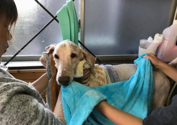 6年間よく頑張ったね