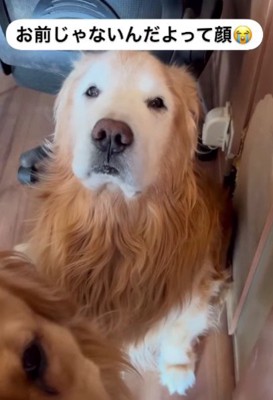 「ママじゃない…」