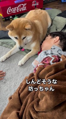 男の子を見つめる犬