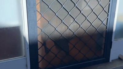 そそくさと行ってしまったフィッちゃん