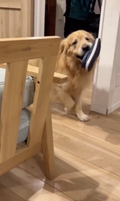 るんるん