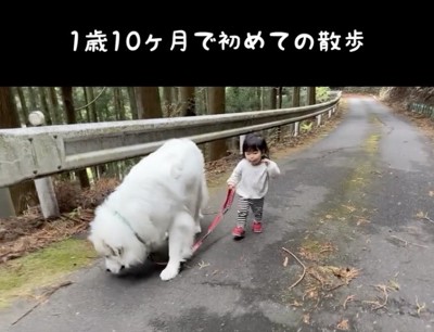 シュシュちゃんは良きお姉ちゃんに