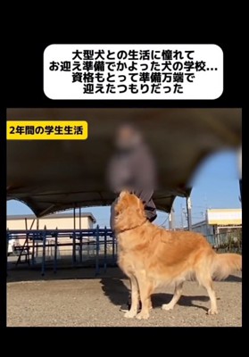 犬の学校に通った飼い主さん