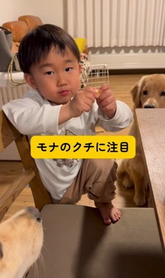 りんごをもらうモナちゃん＆ニコちゃん