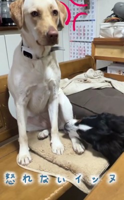 「全然いうこときかない…」