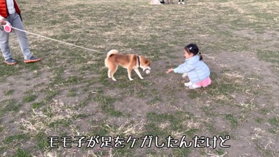 モモ子ちゃんは負傷中…！