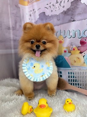 笑顔が可愛いなつめちゃん♡