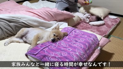 平和な夜のひととき