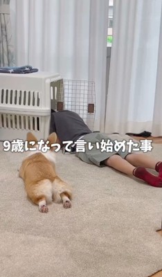 9歳になったそっちゃんは…