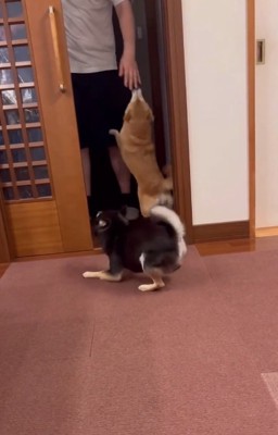 帰省したお兄ちゃん