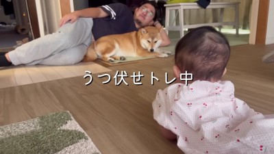 うつ伏せトレーニング