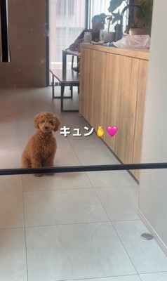 ママさんを待つぷぅと君8