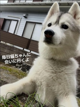 毎日会いに行くROSEちゃん