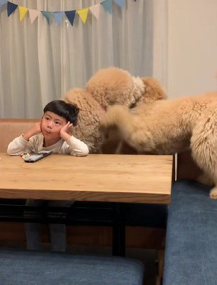 動じない男の子に感嘆！！