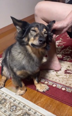 目をつぶるマックくん