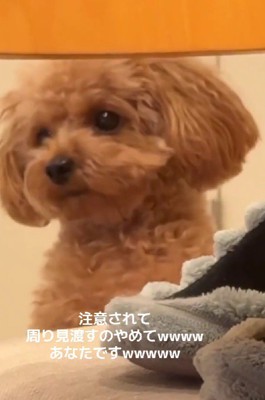 「あなたですか？」