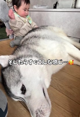 すぐに寄り添い合う2人