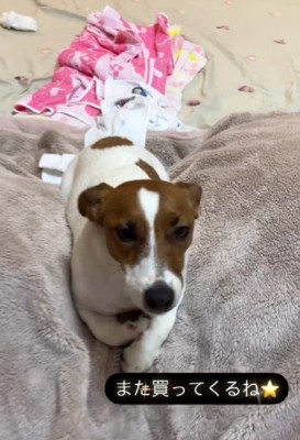 お土産欲しかった…