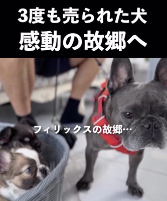 辿り着いた故郷