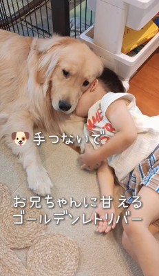 「手をつないで」