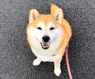 素敵な笑顔