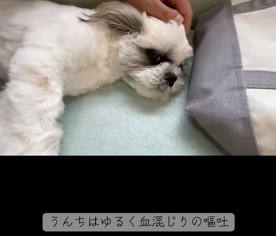 どうしたんだろう