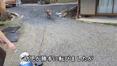 …と思いきや、転倒！