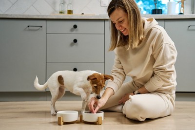食器の前で手を上げている犬