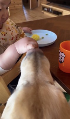 完全にあげてる