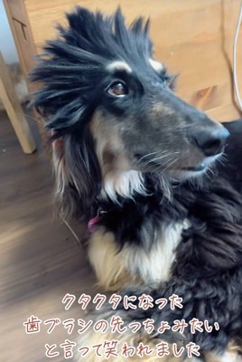 歯ブラシっぽい？