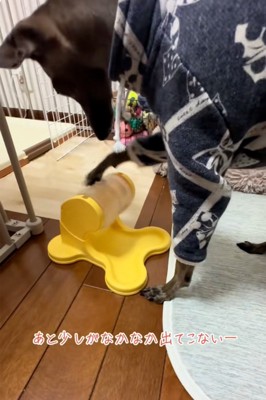 器用なティナちゃん