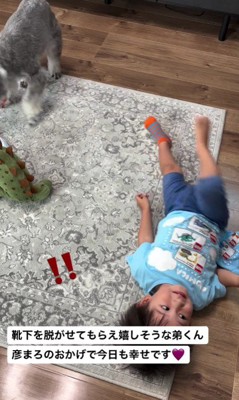 「やったー！大成功！！」