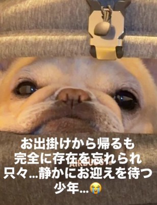 カートで過ごすのが好き