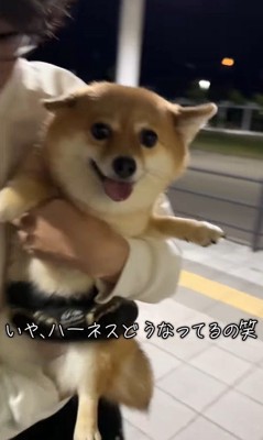 あずきちゃんとママの再会7