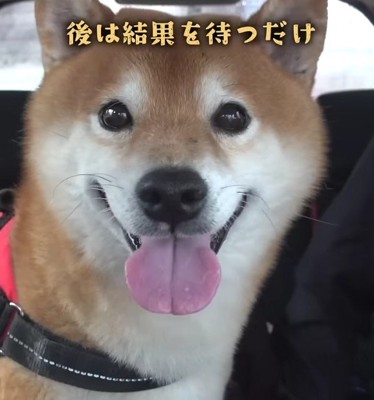 ニコニコ笑顔で待機