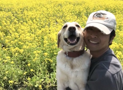 花畑で人に抱かれる犬