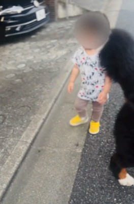 尻尾が直撃する男の子2