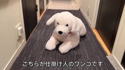 大型犬のぬいぐるみを見た三つ子ちゃん